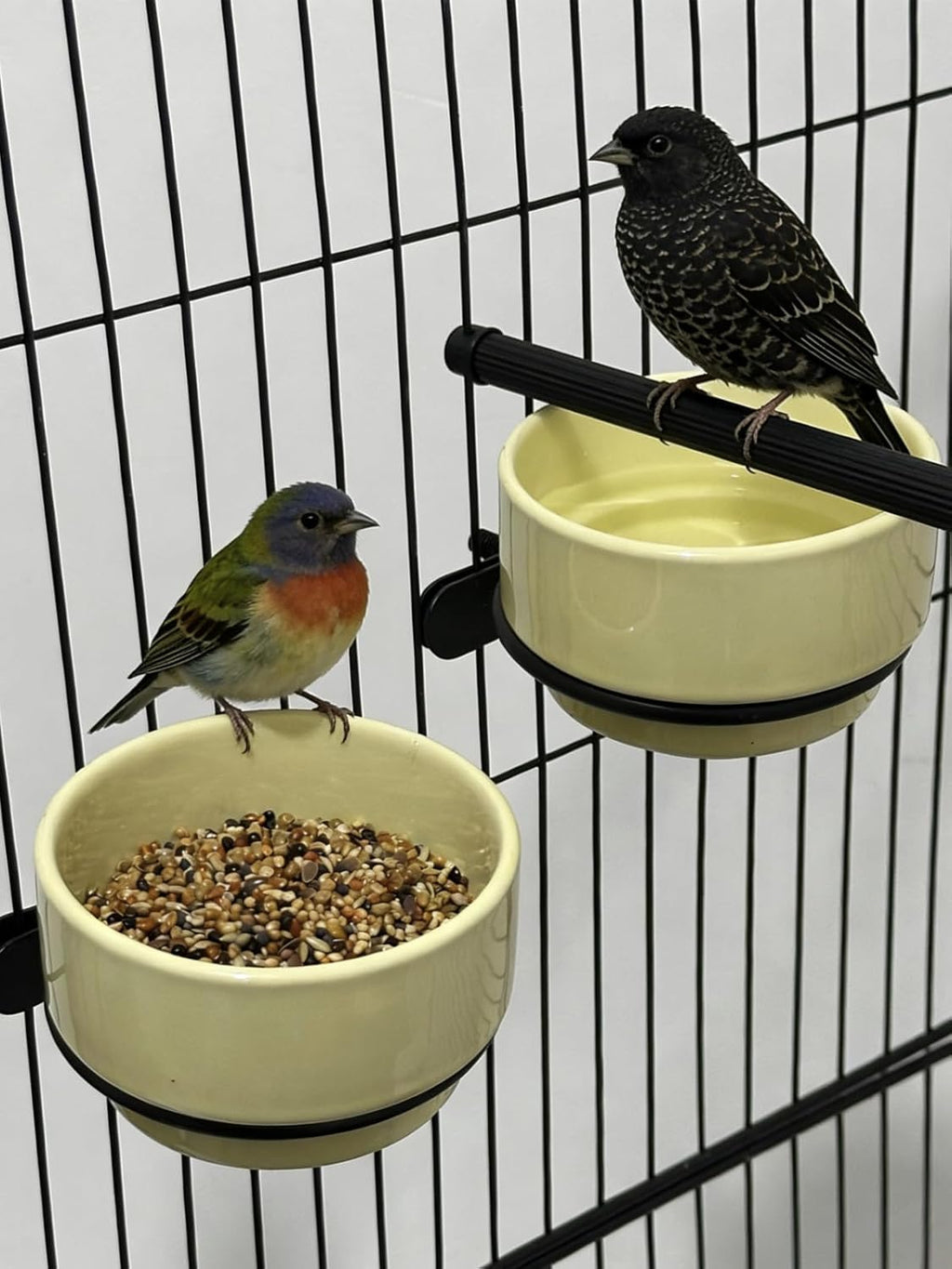 2PCS Ceramic Bird Cage Food Bowls Hanging Parrot Water Bowl Parakeet Feeding Dish Cups Lovebirds Cage Feeder for Budgie Finches Macaw Cockatiels (Yellow)